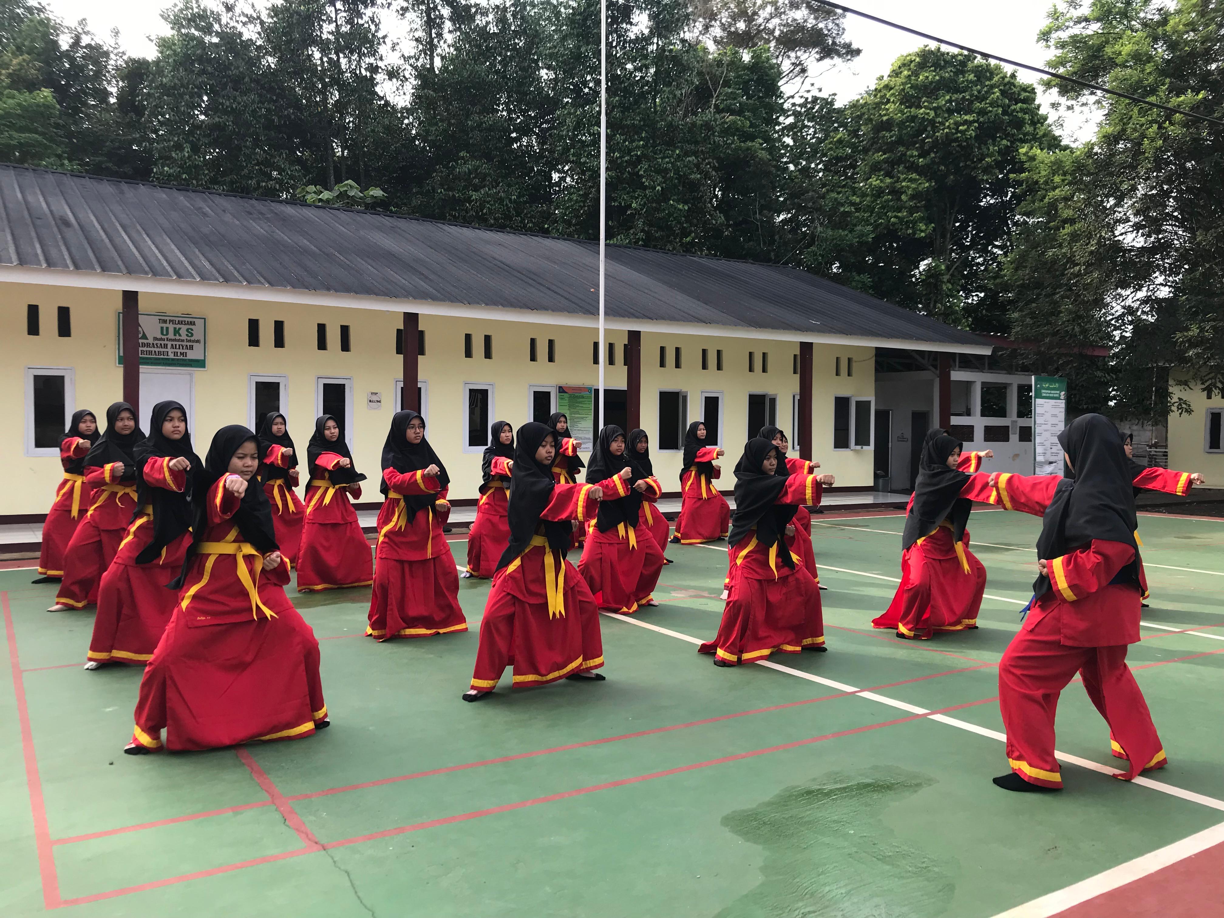 Bela Diri Tapak Suci
